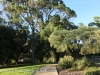 Australia Perth King's Park and Botanical gardens walk -22