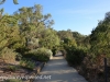 Australia Perth King's Park and Botanical gardens walk -28