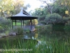 Australia Perth King's Park and Botanical gardens walk -30
