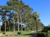 Australia Perth King's Park and Botanical gardens walk -39