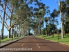 Australia Perth King's Park and Botanical gardens walk -42