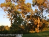 Australia Perth King's Park and Botanical gardens walk -8