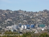 Los Angeles La brea tar pits (36 of 50)