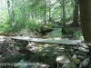 Bear Creek preserve  (8 of 59).jpg
