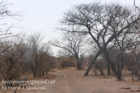 Botswana Africa Chobe National Park landscape October 17 2016