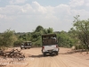 Botswana Chobe safari landscape -12