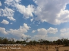 Botswana Chobe safari landscape -5
