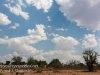 Botswana Chobe safari landscape -6