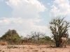 Botswana Chobe safari landscape -7