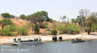 Botswana Chobe River cruise elephants October 17 2016