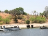 Botswana Chobe river elephants -1