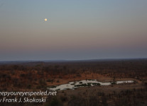 Botswana Chobe river drive -1