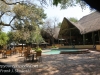 Botswana Chobe river drive -13