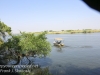 Botswana Chobe river drive -14