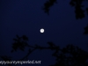 Copenhagen moonset  (14 of 18).jpg