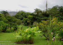 Costa-Rica-Day-Seven-Arenal-Observatory-Lodge-farn-hike-1-of-32