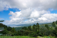 Costa Rica Day Two Arenal Observatory lodge guide hike January 6 2024 