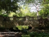 Dallas Texas Arboretum walk-50