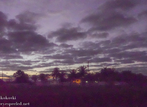 Florida-Day-Eight-Everglades-Flamingo-sunrise-1-of-15