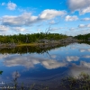 Florida-Day-Eight-Everglades-Flamingo-7-of-43