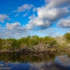 Florida-Day-Eight-Everglades-Flamingo-9-of-43