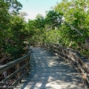 Florida-Day-Five-Long-Key-State-park-11-of-38