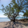 Florida-Day-Five-Long-Key-State-park-2-of-38