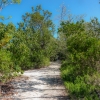 Florida-Day-Five-Long-Key-State-park-9-of-38