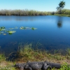 Florida-Day-six-Everglades-2-of-36