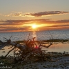 Florida-Day-Three-Big-Pine-Key-sunrise-scenery-January-12-2023-11-of-27