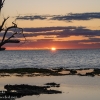 Florida-Day-Three-Big-Pine-Key-sunrise-scenery-January-12-2023-8-of-27