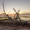 Florida-Day-Three-Big-Pine-Key-sunrise-scenery-January-12-2023-9-of-27