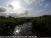 Everglades evening  (4 of 8)