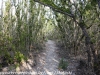 Flamingo Everglades hike  (15 of 25)