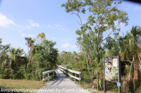 Florida Day Two: Everglades: Mahogany Hammock April 12 2018