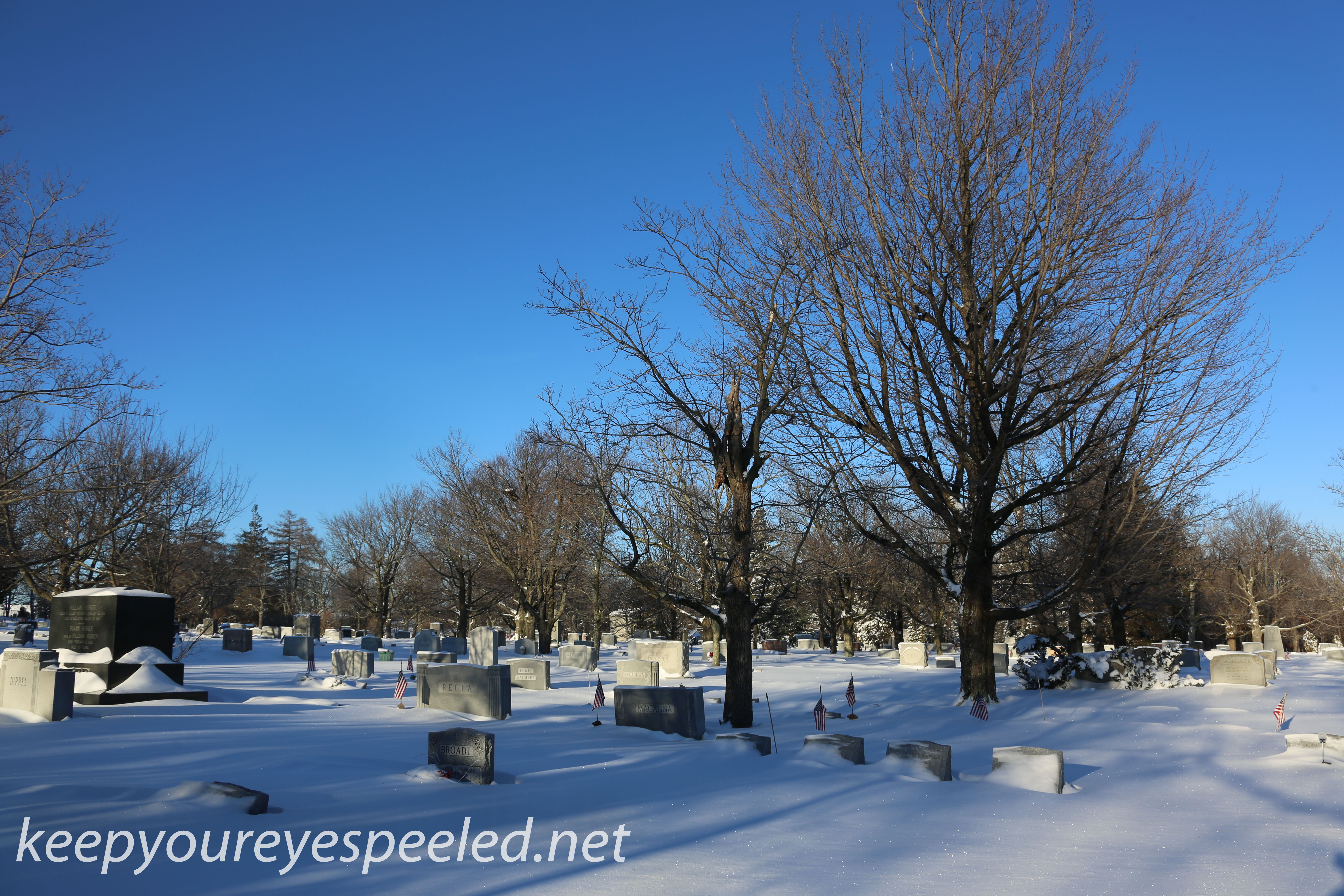 Mountain View Cemetery (3 of 20)
