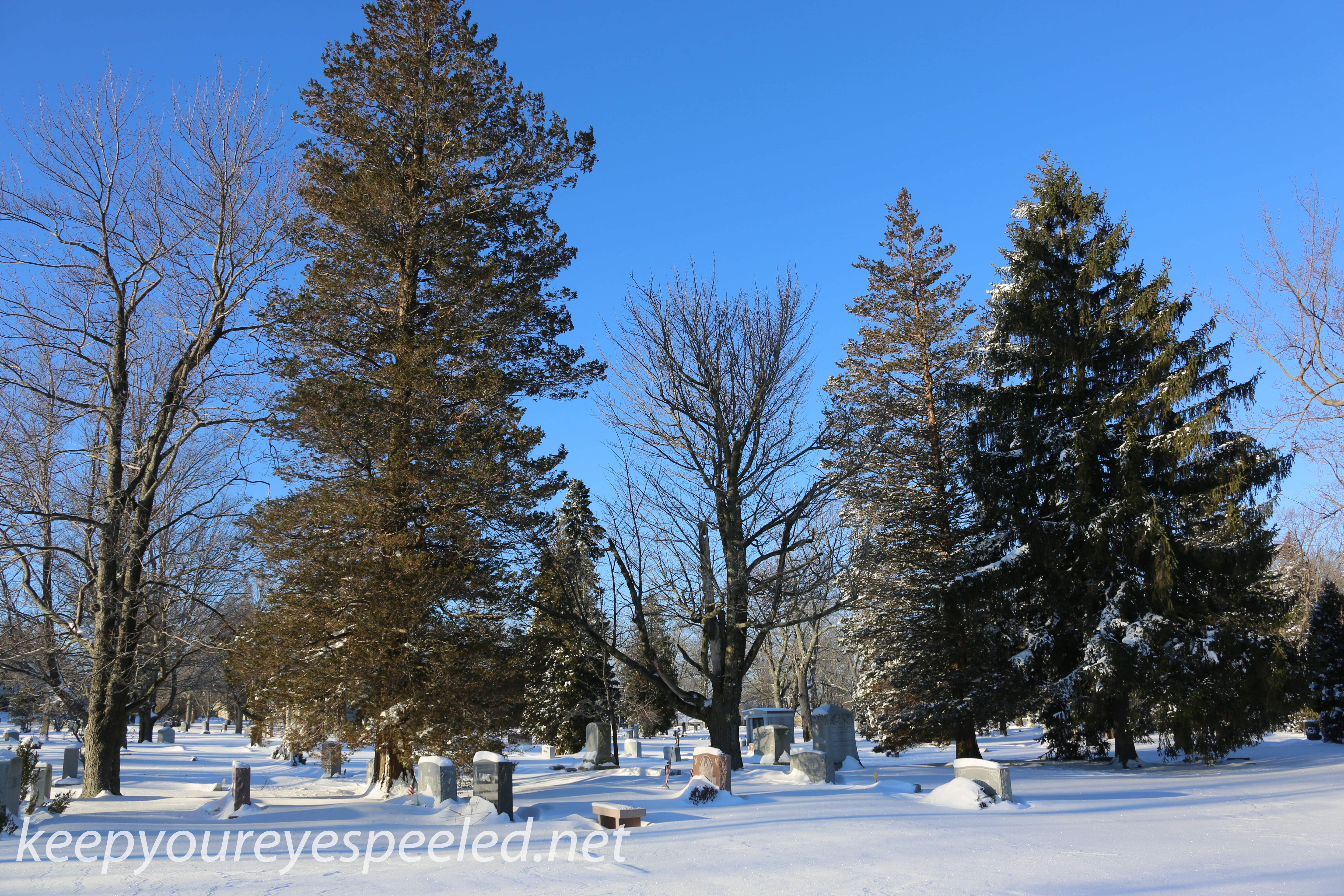 Mountain View Cemetery (8 of 20)