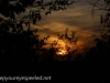 greenridge sunset (11 of 13).jpg