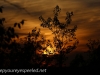greenridge sunset (12 of 13).jpg