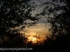 greenridge sunset (5 of 13).jpg