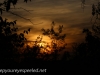 greenridge sunset (6 of 13).jpg