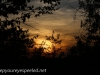 greenridge sunset (7 of 13).jpg