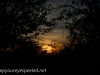 greenridge sunset (8 of 13).jpg