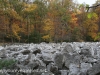 Hawk Mountain river of rocks  (12 of 50)