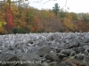 Hawk Mountain river of rocks  (13 of 50)