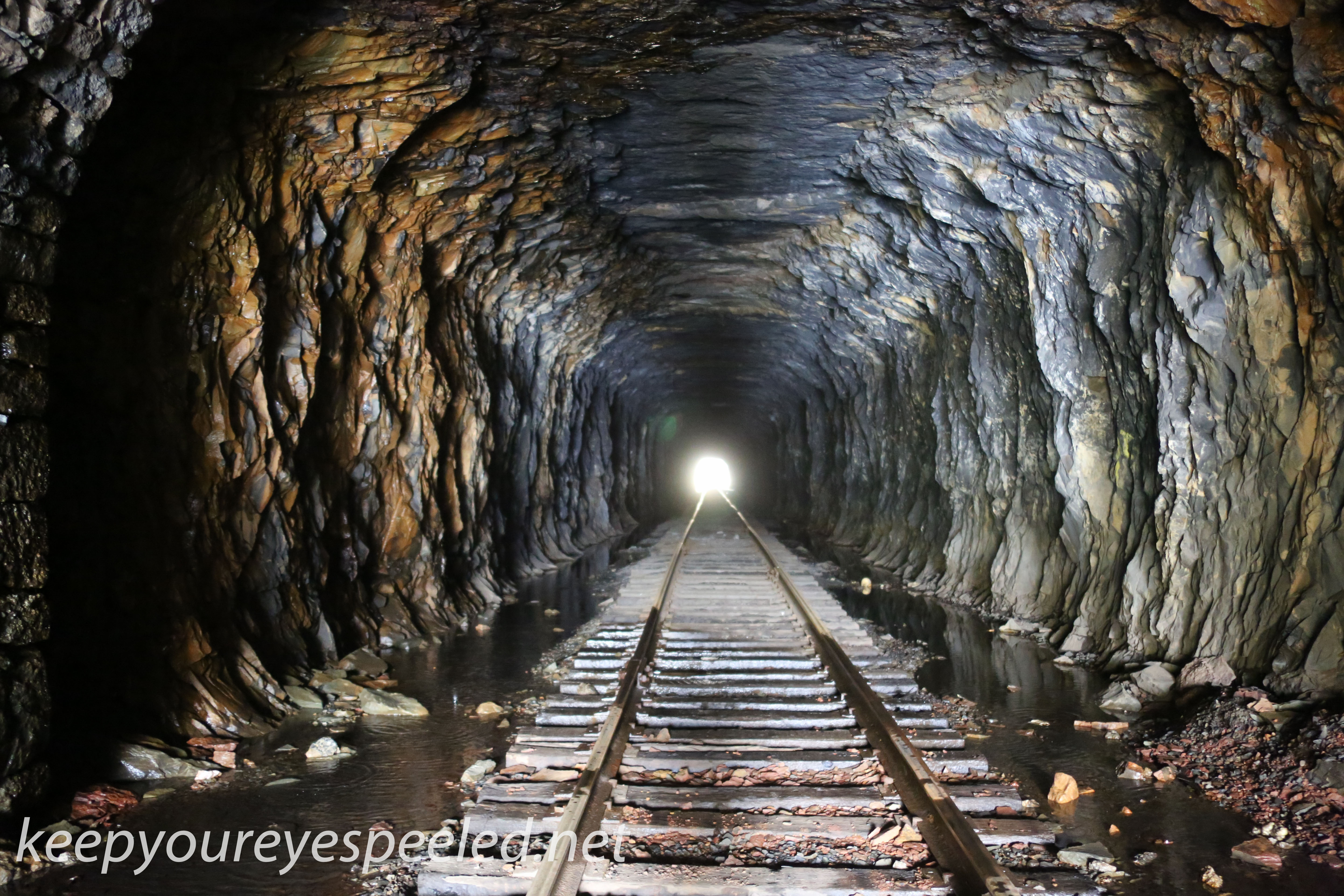 Hazle Brook- Jeddo tunnel  (11 of 16)