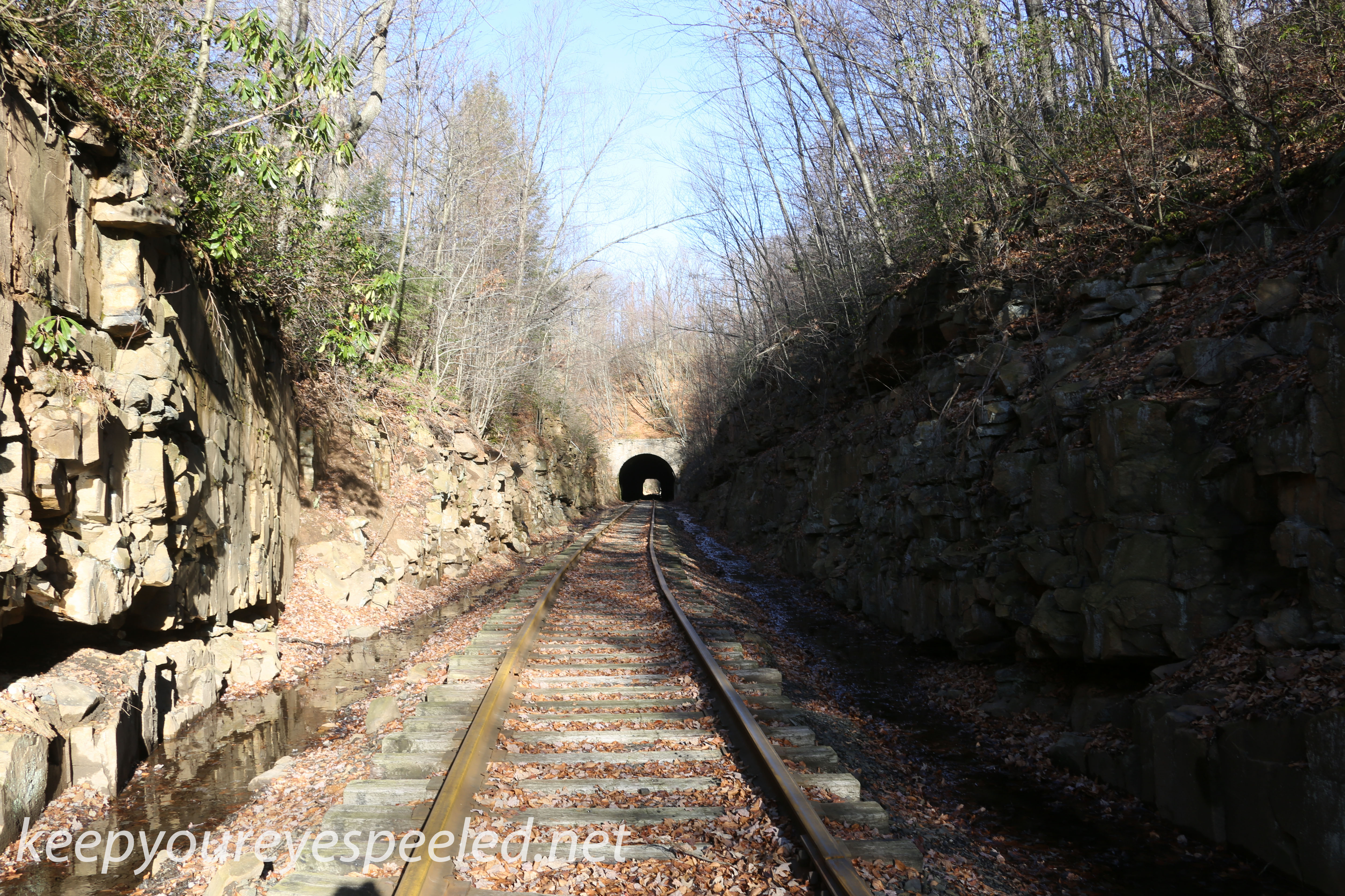 Hazle Brook- Jeddo tunnel  (2 of 16)