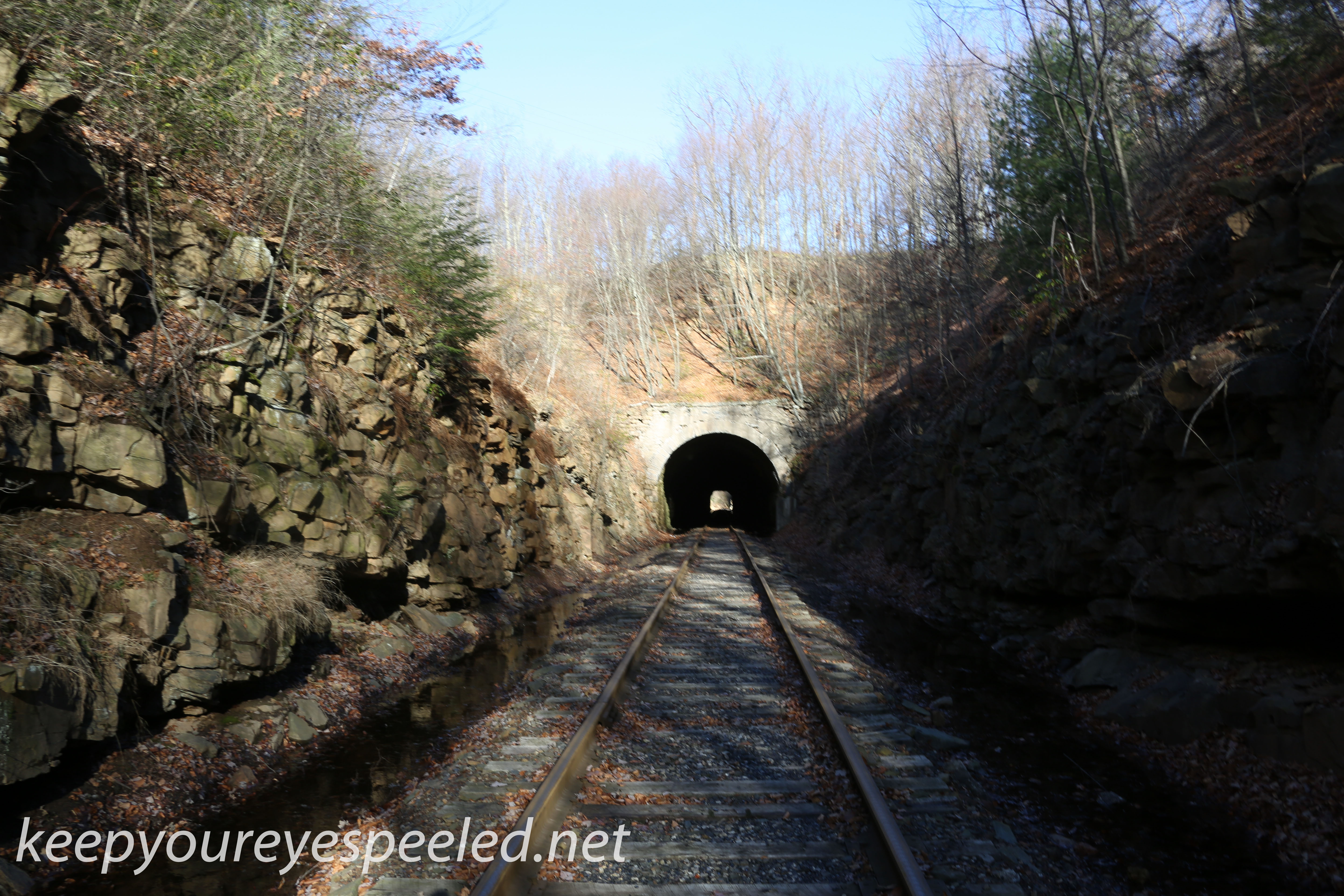 Hazle Brook- Jeddo tunnel  (4 of 16)