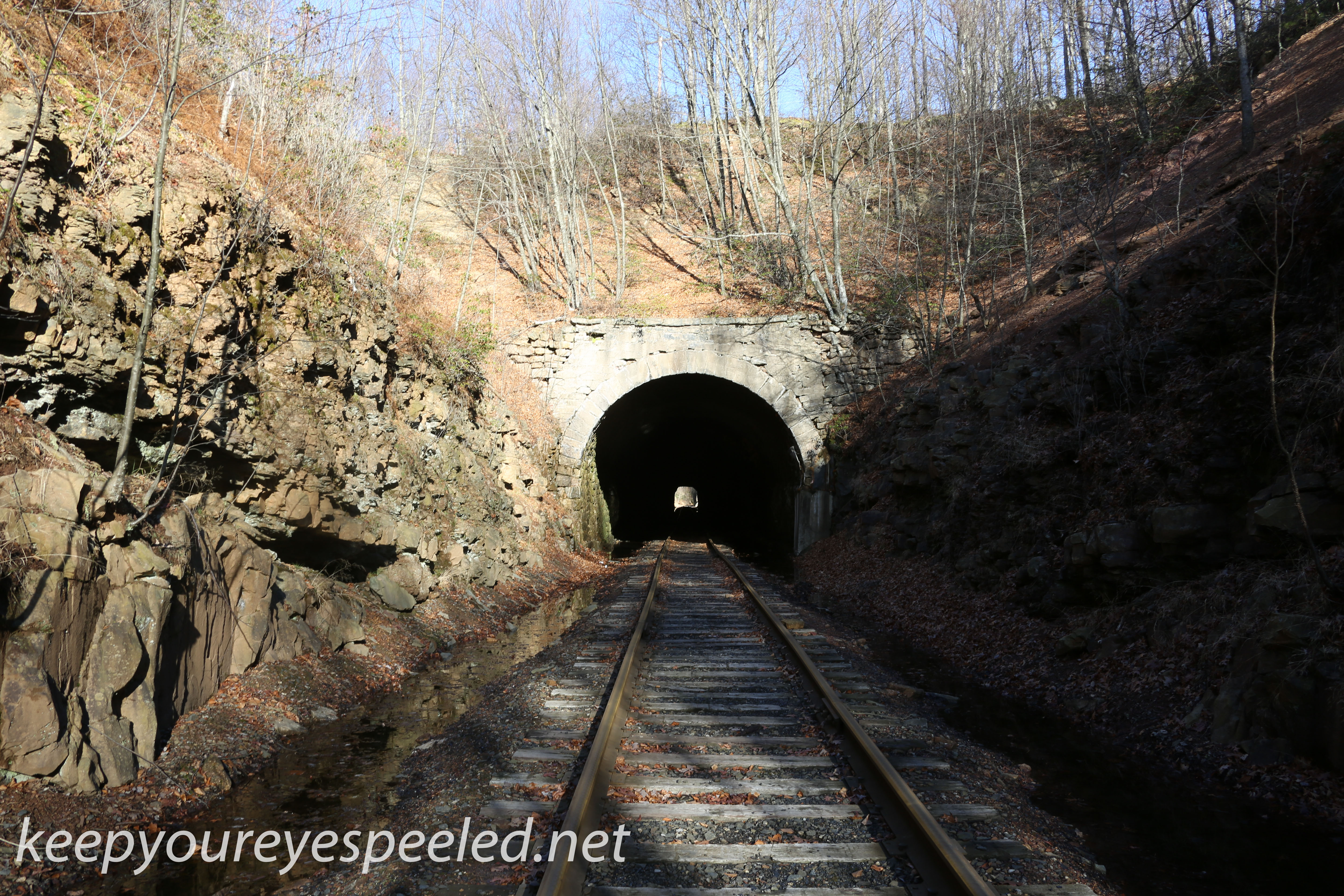 Hazle Brook- Jeddo tunnel  (5 of 16)