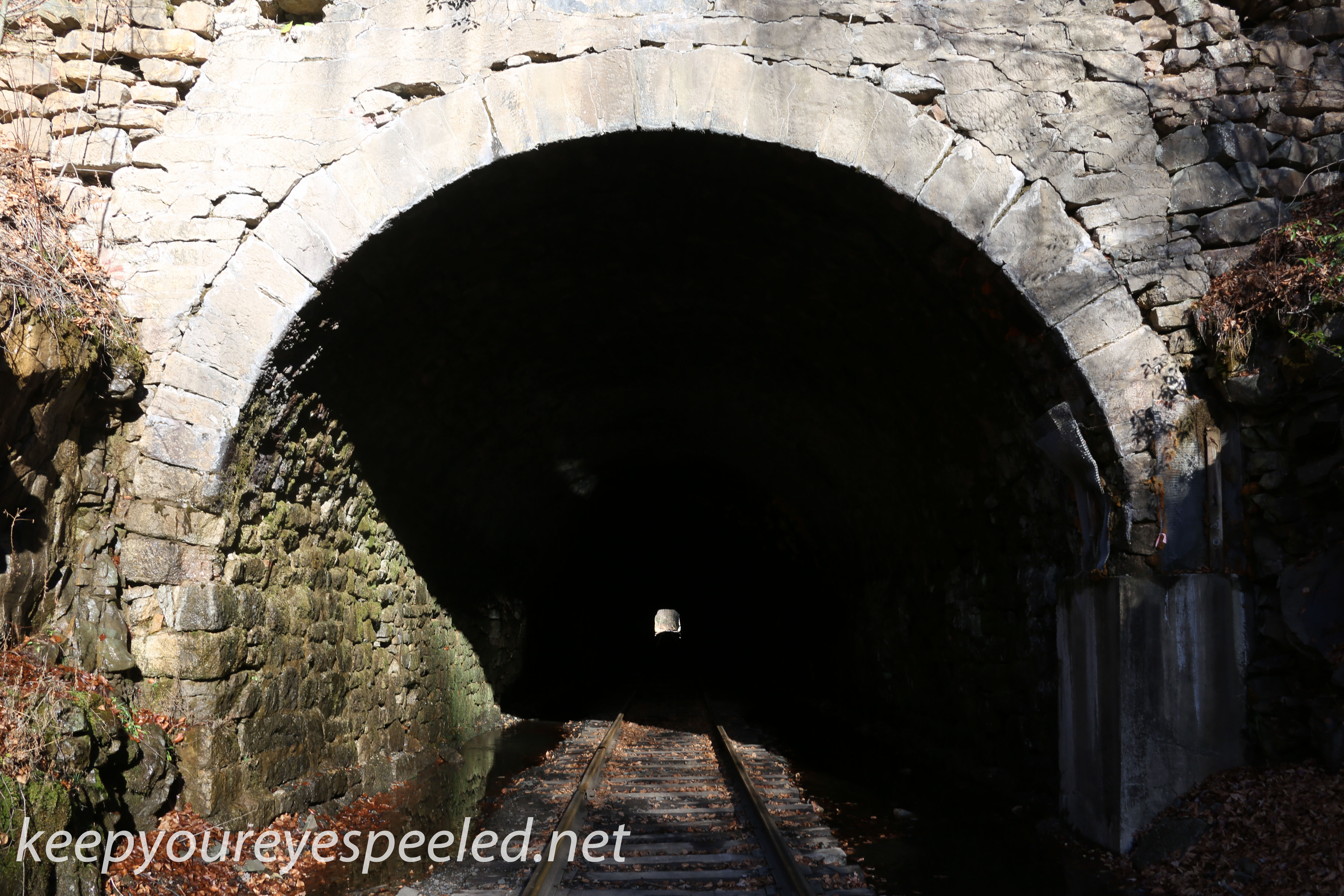Hazle Brook- Jeddo tunnel  (6 of 16)